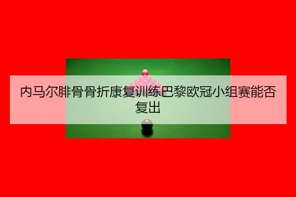 nei-ma-er-fei-gu-gu-zhe-kang-fu-xun-lian-ba-li-ou-guan-xiao-zu-sai-neng-fou-fu-chu-3-289.jpg