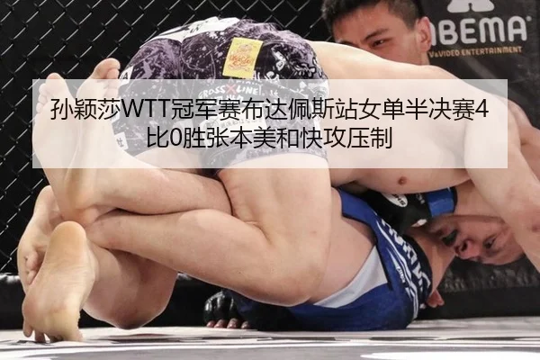 sun-ying-sha-guan-jun-sai-bu-da-pei-si-zhan-nv-dan-ban-jue-sai-bi-sheng-zhang-ben-mei-he-kuai-gong-ya-zhi-2-589.jpg